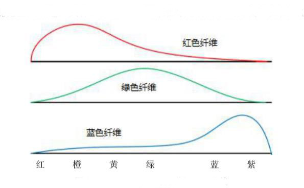 三類色彩纖維對(duì)光譜的吸收曲線